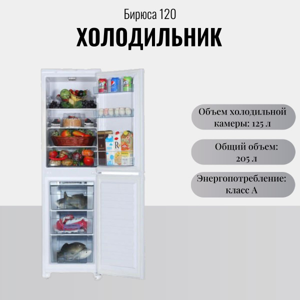 Холодильник Бирюса Б-120 купить на OZON по низкой цене (1015737730)