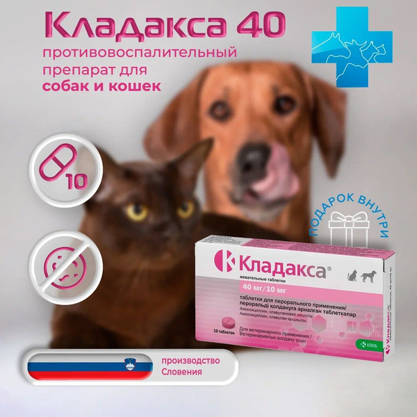 Кладакса для кошек и собак антибактериальный препарат 40 мг/10мг, 10 ...