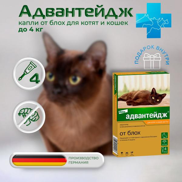 Адвантейдж капли для котят и кошек до 4 кг от блох, 4 пипетки - купить ...