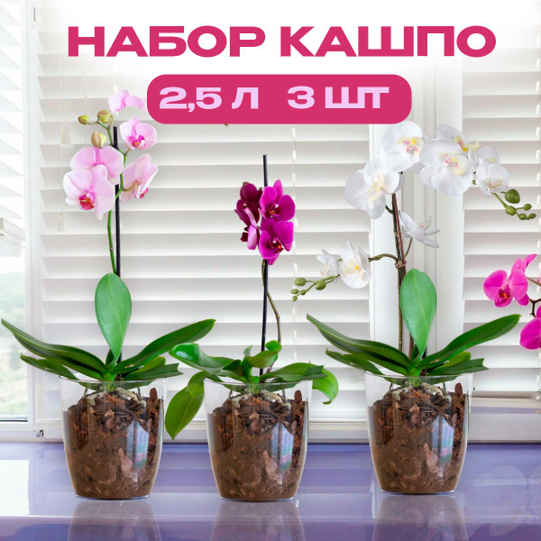 Кашпо для орхидей набор 3 шт для орхидей 2,5 л - купить с доставкой по ...