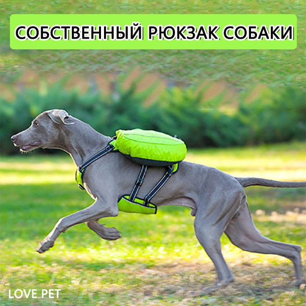Шлейка для собак, средних и крупных пород; Набор тактических сумок ...
