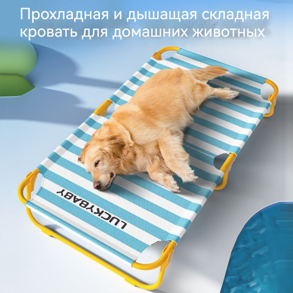 Раскладушка для средних и крупных собак купить на OZON по низкой цене ...