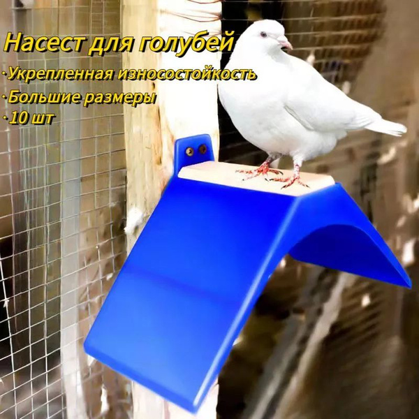 Насест для голубей (пластик, с деревянной планкой), 10 шт - купить с ...