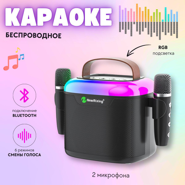 Беспроводная караоке система для дома с двумя беспроводными микрофонами ...