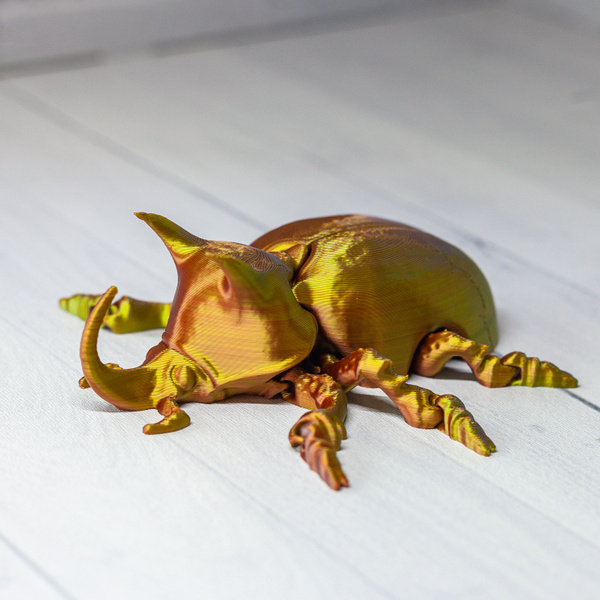Подвижный жук скарабей, жук носорог - купить с доставкой по выгодным ...
