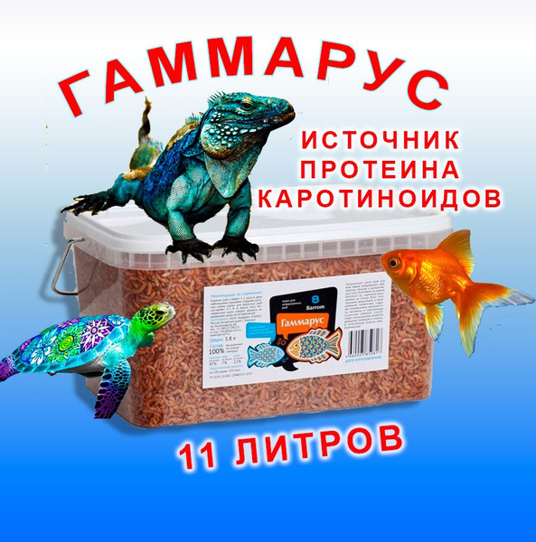 Гаммарус сушеный для черепах, улиток и рыб 11 литров - купить с ...