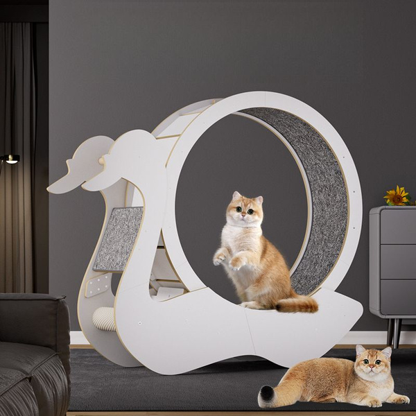 Беговое колесо для кошек 80 cm, беговые колеса, упражнение для ...