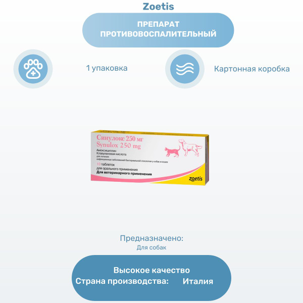 Синулокс 250 Мг Купить