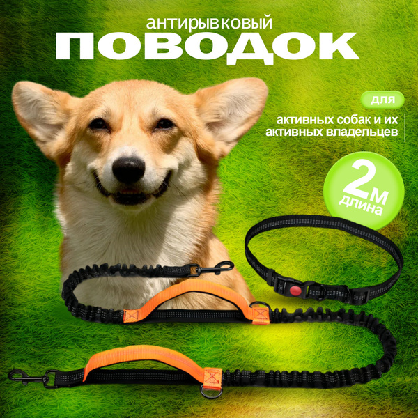 Эластичный поводок для бега и прогулок с собакой, с амортизаторами ...