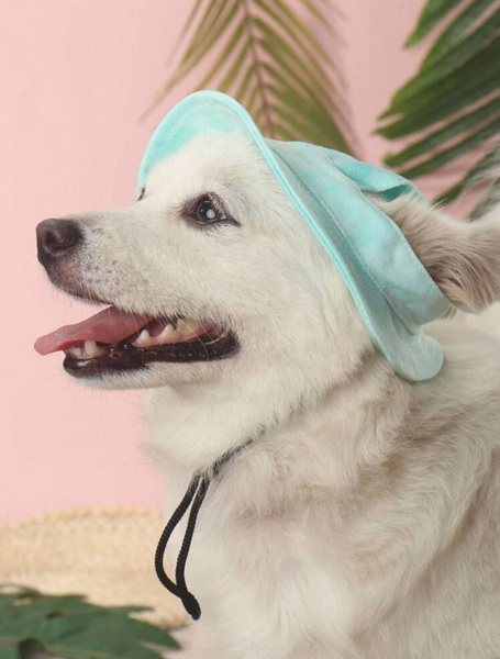 Кепка для собак животных - купить с доставкой по выгодным ценам в ...