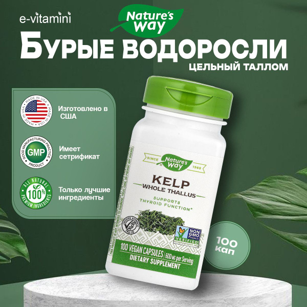 Бурые водоросли, пищевая добавка, Nature's Way, цельный таллом, 600 мг ...