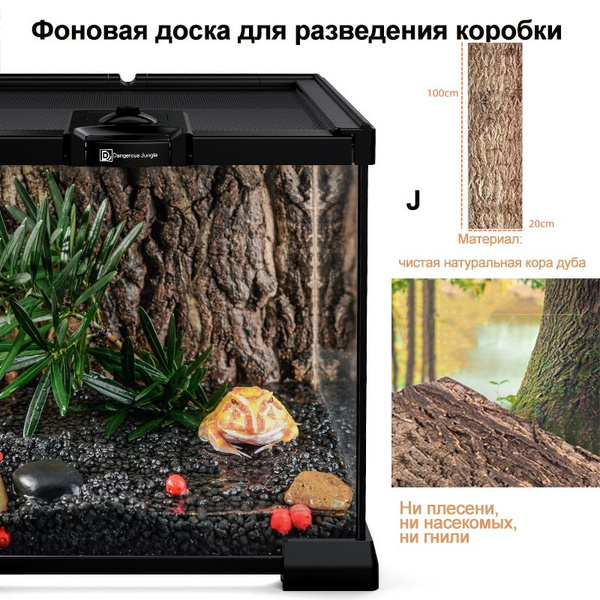 Аквариум для рептилий; аквариум для рыб; фон террариума; - купить с ...