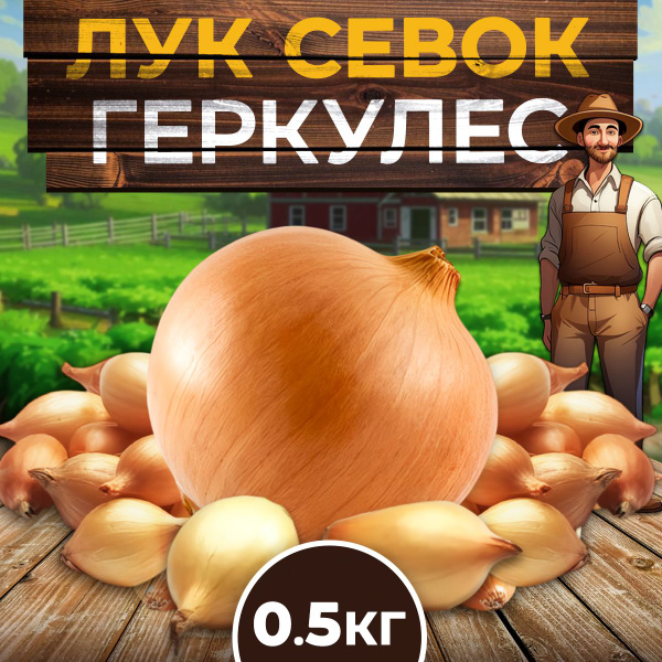 Лук севок, Лук центурион - купить по выгодным ценам в интернет-магазине ...