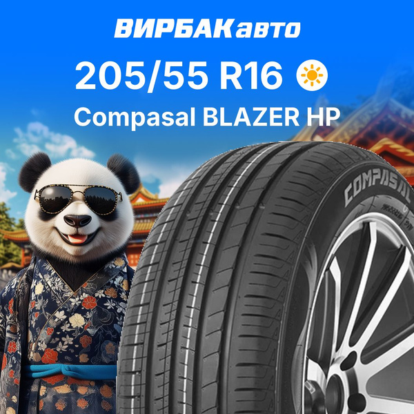 Характеристики Compasal BLAZER HP Шины летние 205/55 R16 91V подробное ...