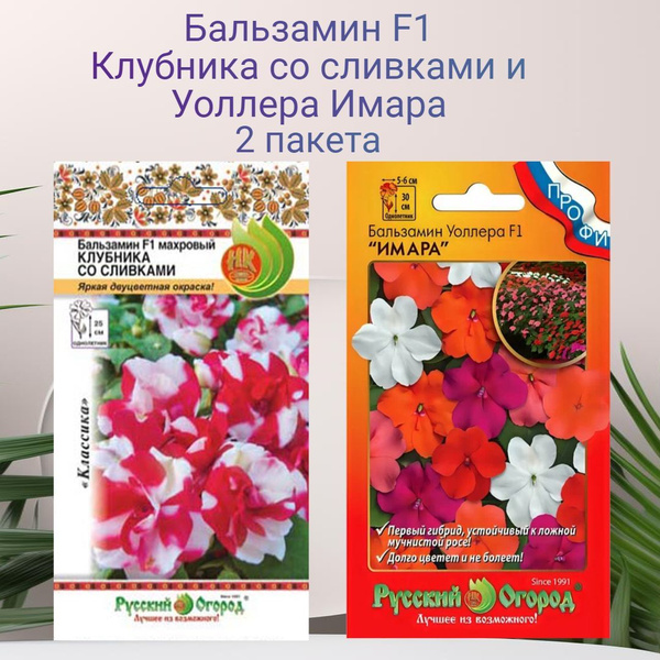 Бальзамины однолетние, Бальзамины комнатные Русский огород 276856527 ...