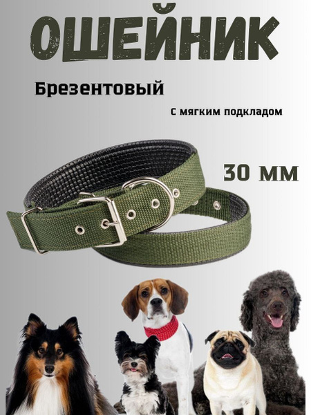 Ошейник брезентовый двойной для собак 30мм купить на OZON по низкой ...