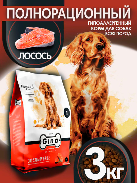 Корм для собак сухой супер премиум класса Gina Dog Salmon & Rice ...