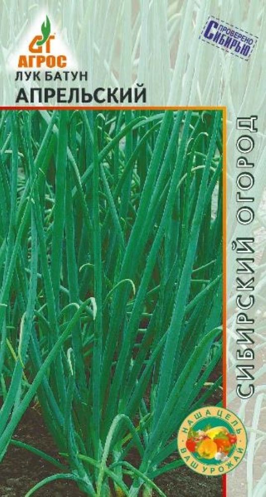 Лук батун 1. Семена лук батун апрельский. Лук батун апрельский. Лук батун апрельский фото. Семена лук батун (на перо) апрельский. Семетра ц/п 1 г.