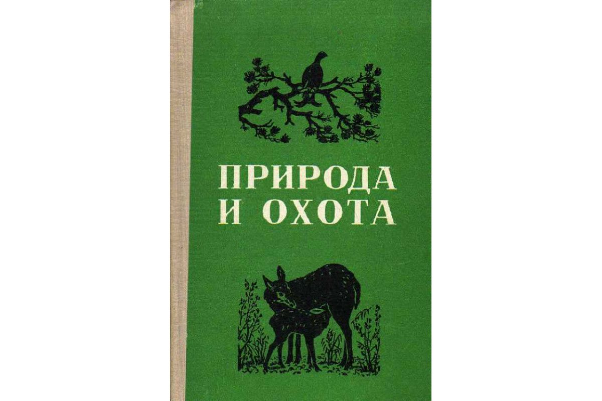 Охотминимум 2025 для получения охотничьего. Охотминимум. сдача охотминимума.
