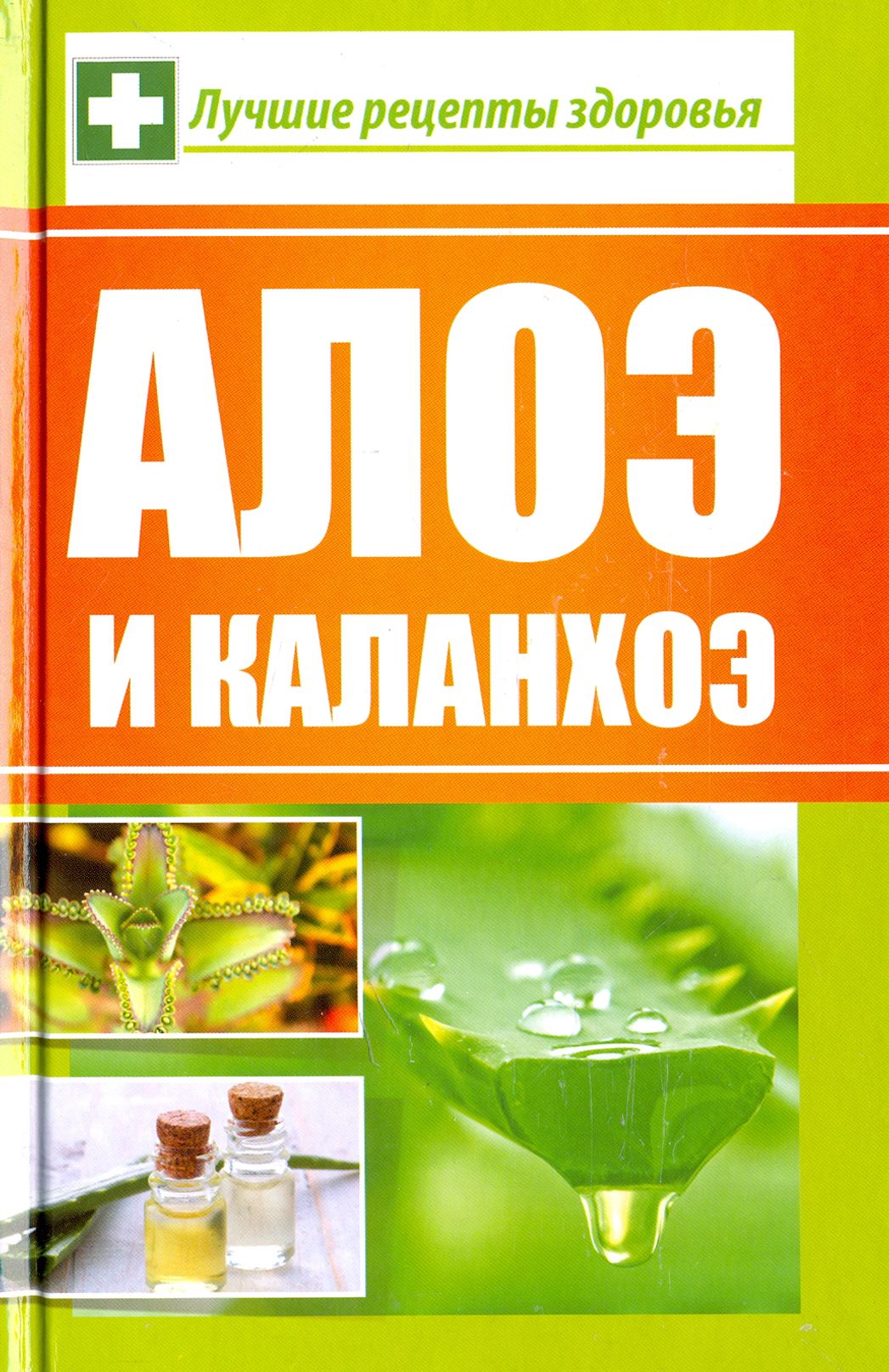 Алоэ и каланхоэ. Лучшие рецепты здоровья | Сайдакова Раиса Ивановна -  купить с доставкой по выгодным ценам в интернет-магазине OZON (1254786650)