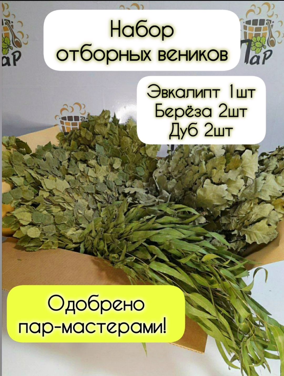 Курсовая работа по Магии Языка. Никойя