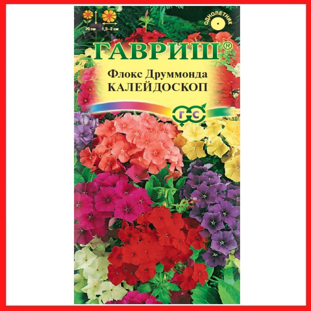 Флоксы Однолетние Купить Семена