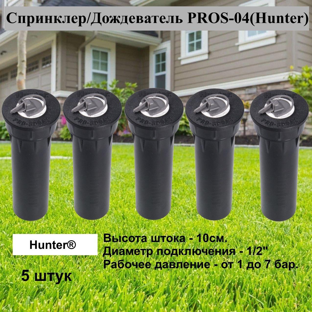 Купить Hunter Pros 04