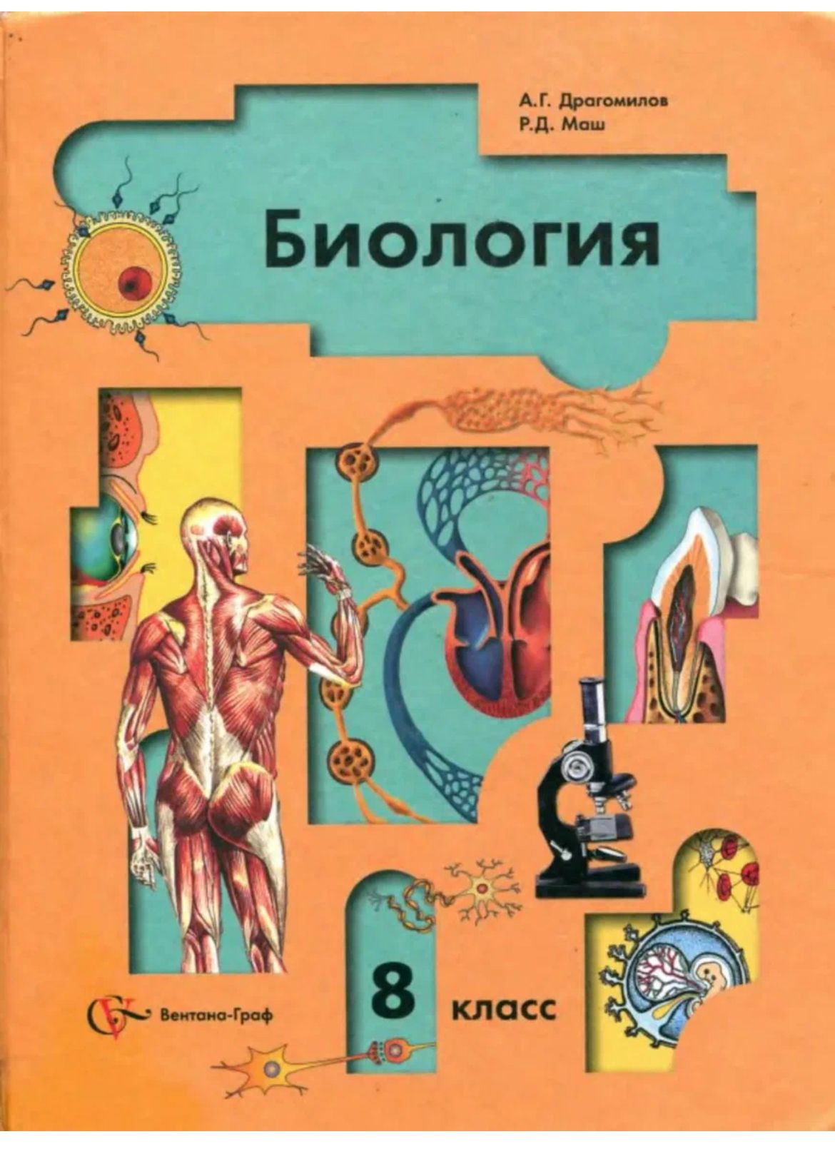 Биология Человек 8 класс | Драгомилов Александр Григорьевич, Маш Р. Д. -  купить с доставкой по выгодным ценам в интернет-магазине OZON (1514984764)