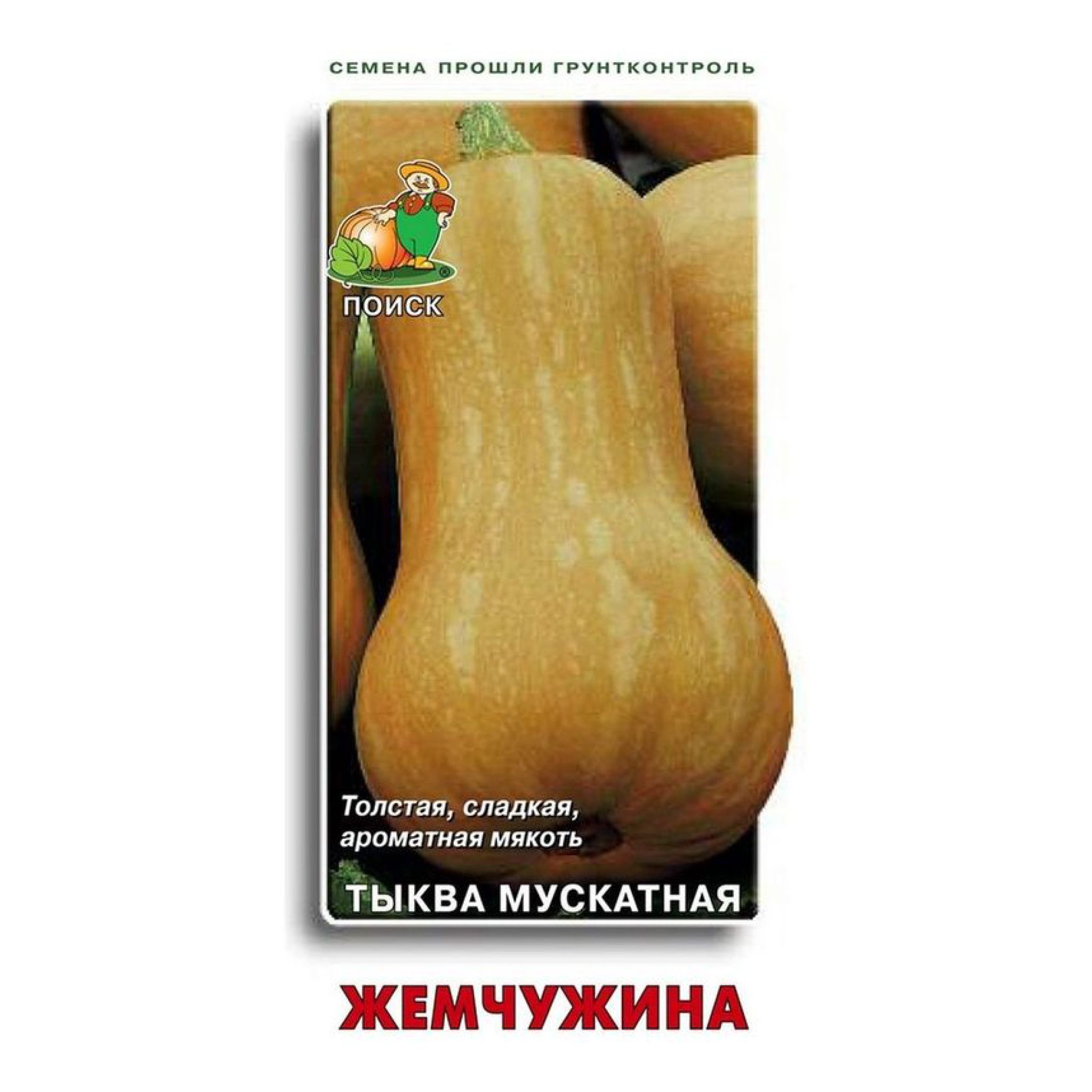 Тыква Мускатная Фото