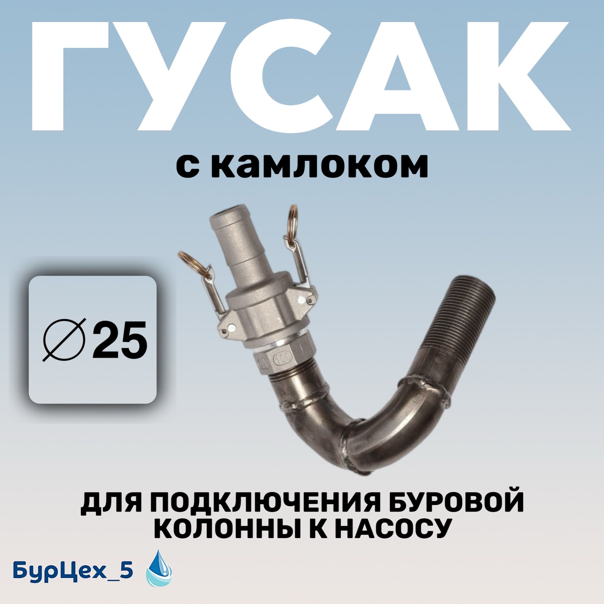 ГусакскамлокомД25