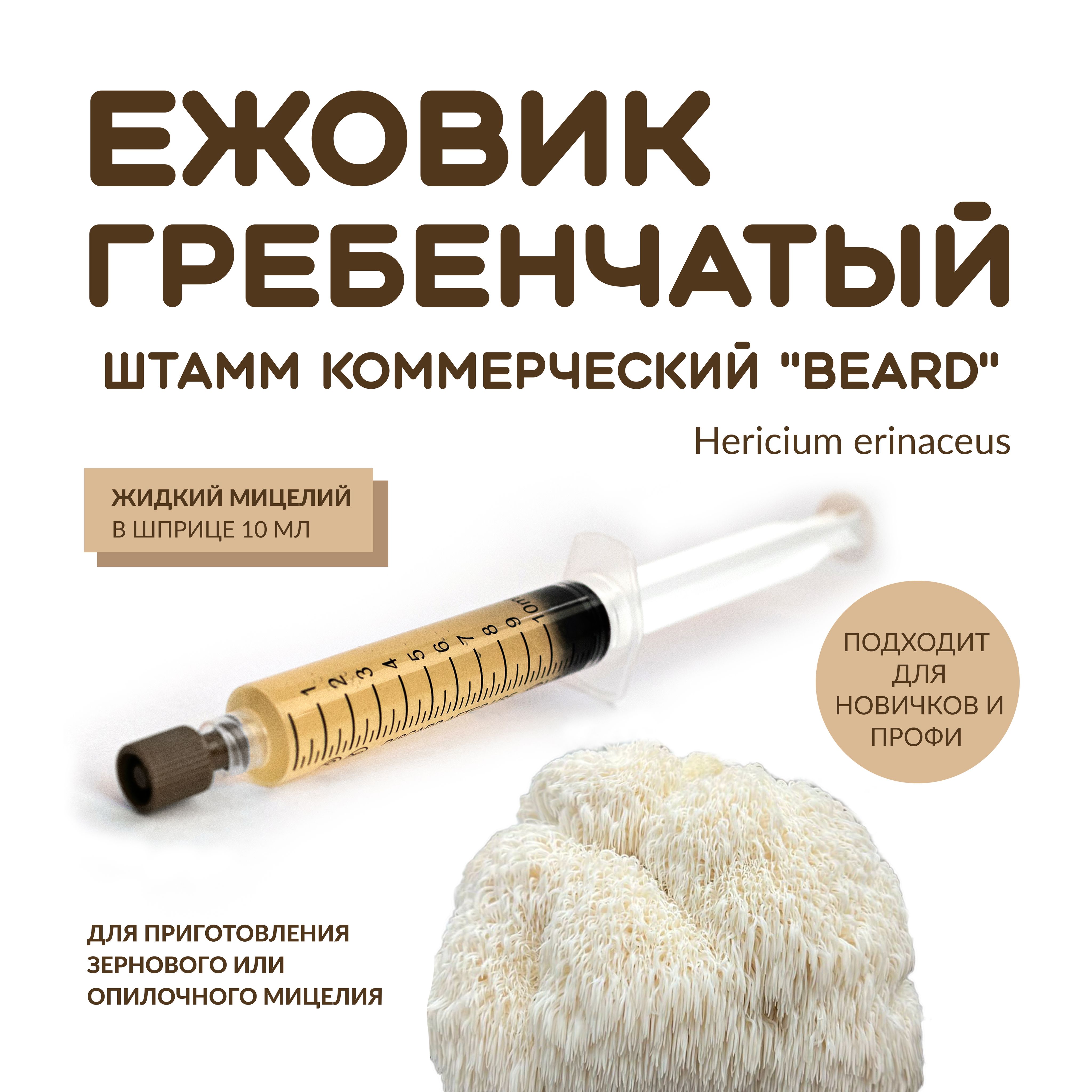 Жидкий мицелий ежовика гребенчатого Beard