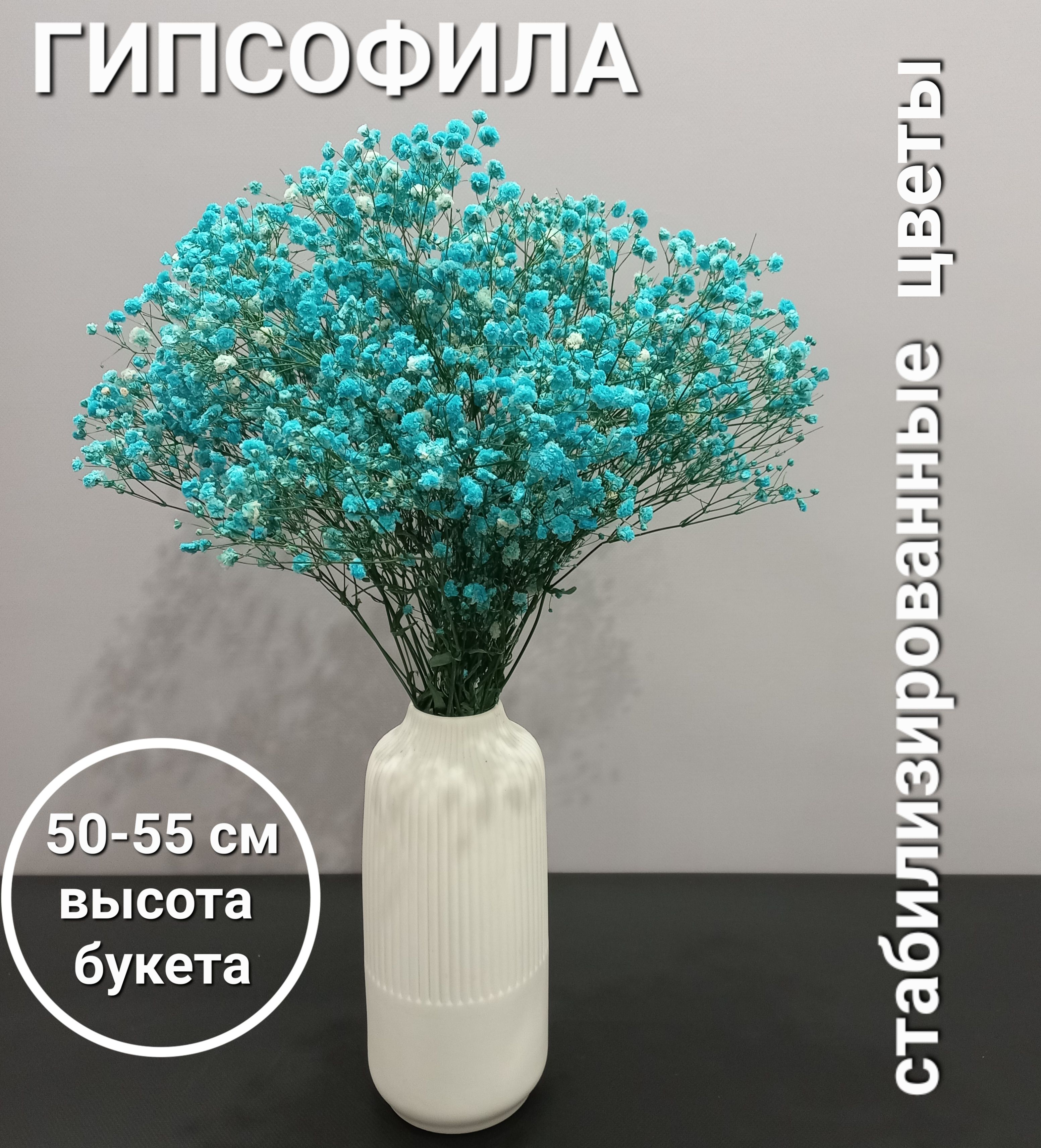 Стабилизированные цветы Гипсофила, 55 см, 100 гр купить по выгодной цене в  интернет-магазине OZON (1540364714)