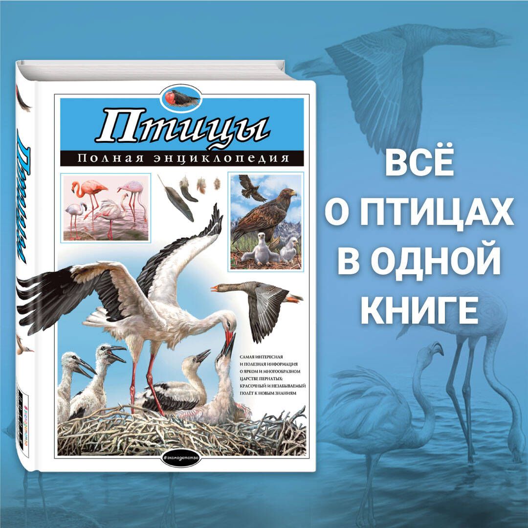 Птицы. Полная энциклопедия | Школьник Юлия Константиновна - купить с  доставкой по выгодным ценам в интернет-магазине OZON (249420142)