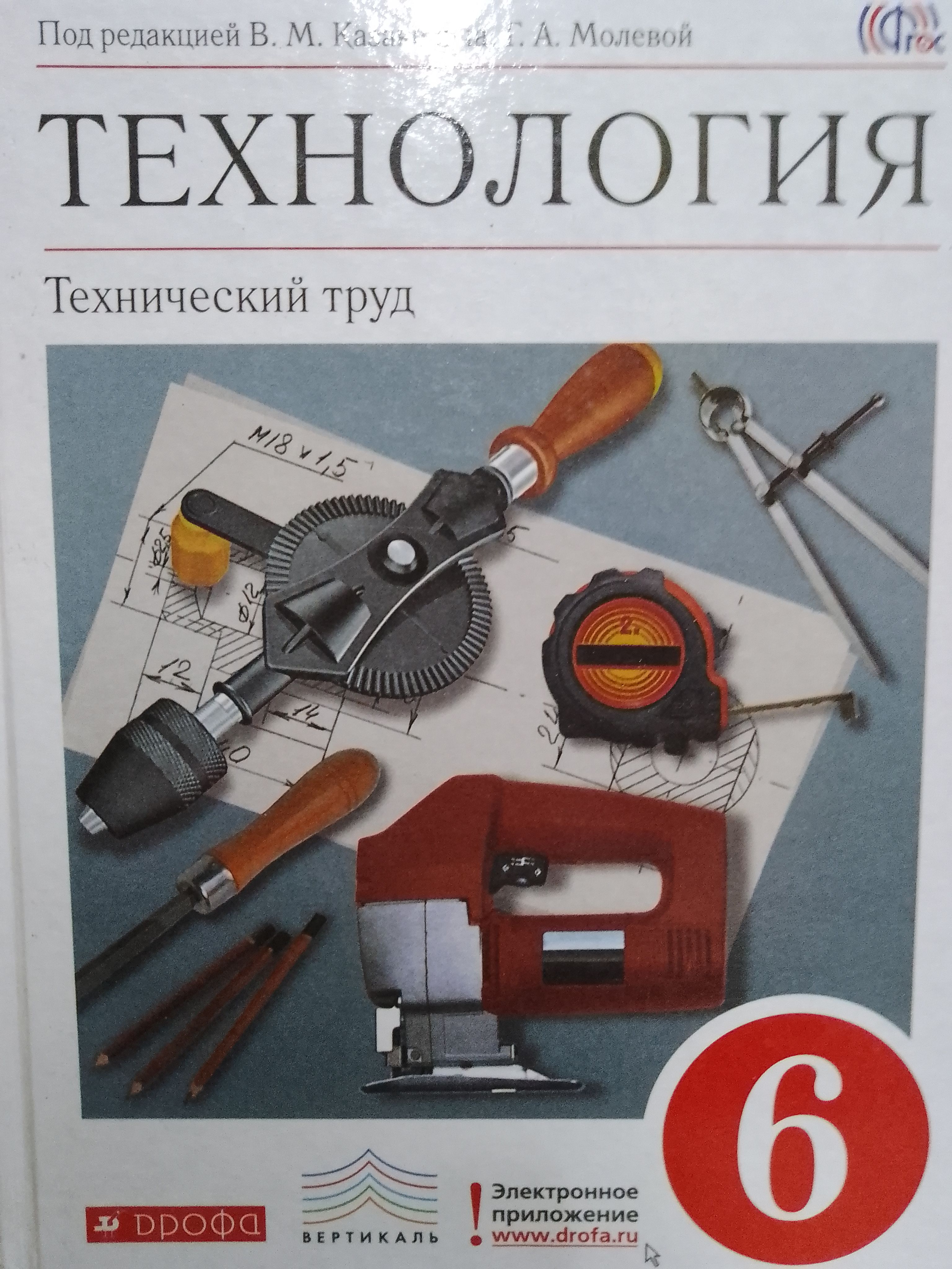 Технология. Технический труд. 6 класс. Учебник | Казакевич Владимир М.,  Молева Галина А. - купить с доставкой по выгодным ценам в интернет-магазине  OZON (1562948655)