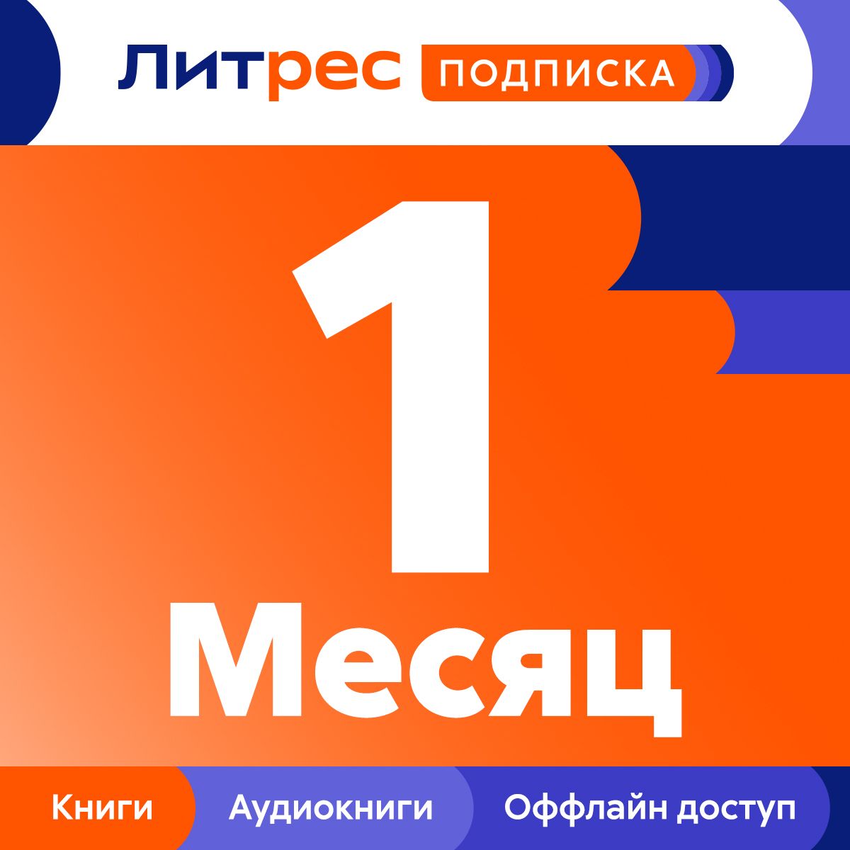 ЛитРес: Подписка на 1 месяц купить по выгодной цене в интернет-магазине  OZON.ru (729705417)