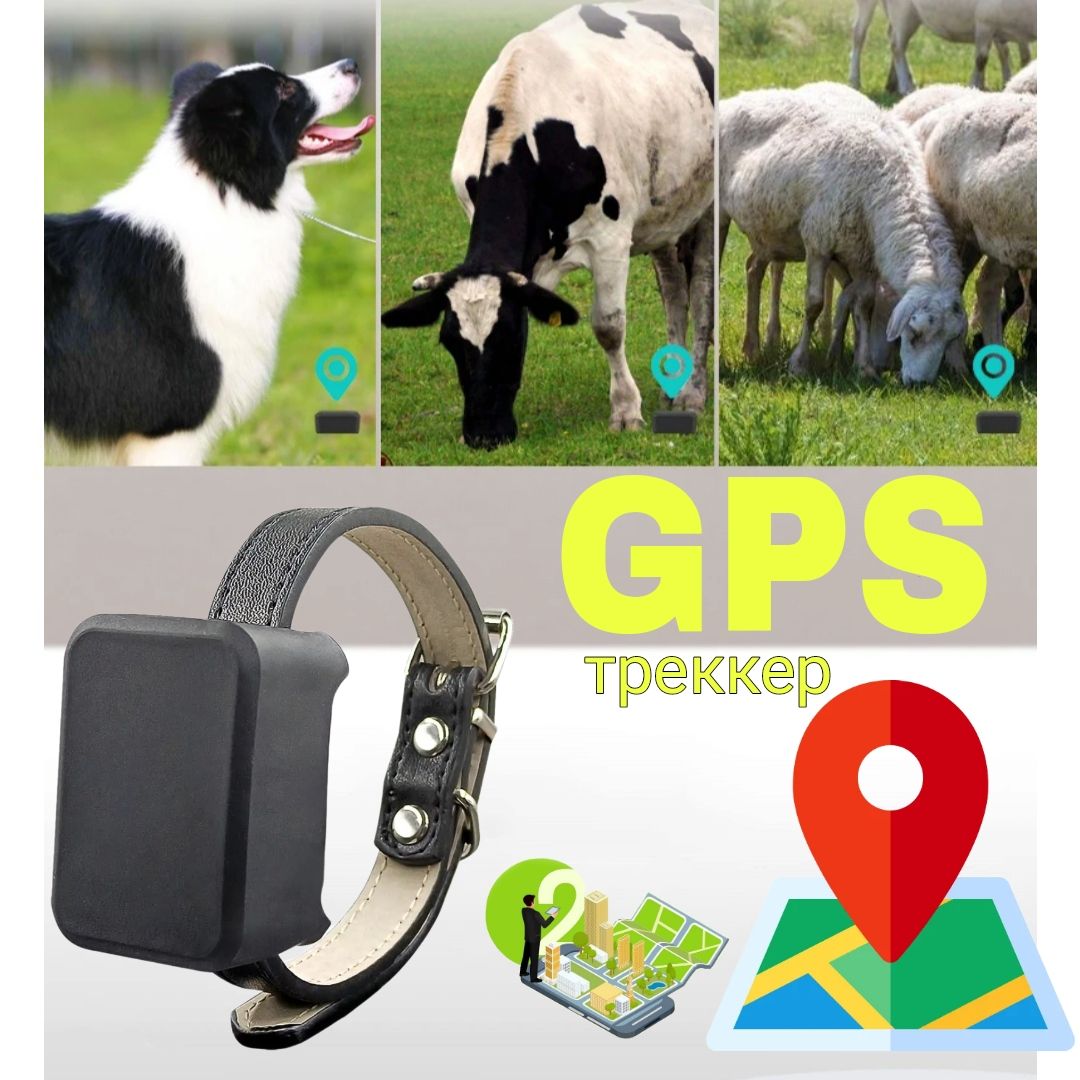 gps трекер для домашних животных