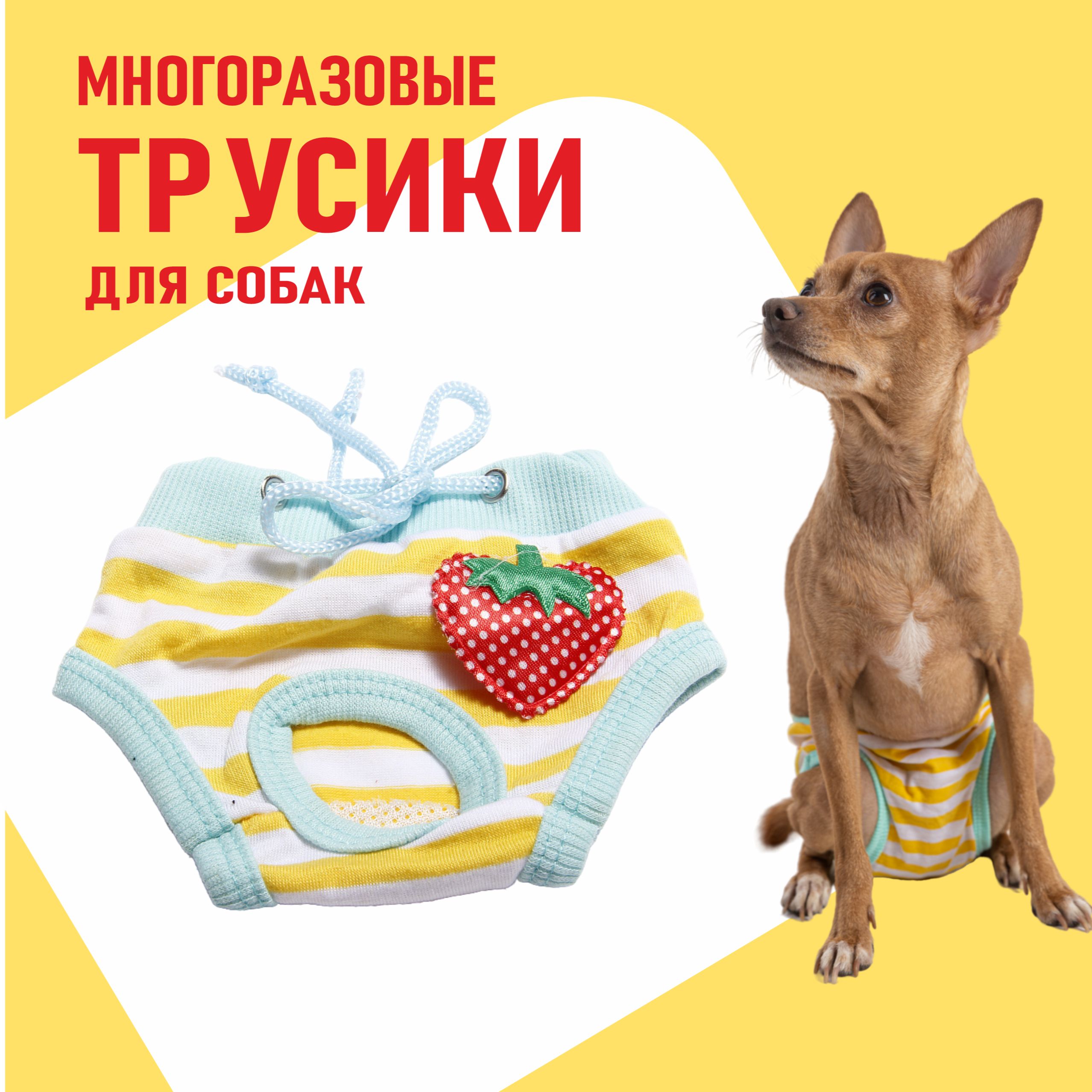 Трусы для собаки во время течки с завязками Желтые M Family Pet - купить с  доставкой по выгодным ценам в интернет-магазине OZON (831498084)