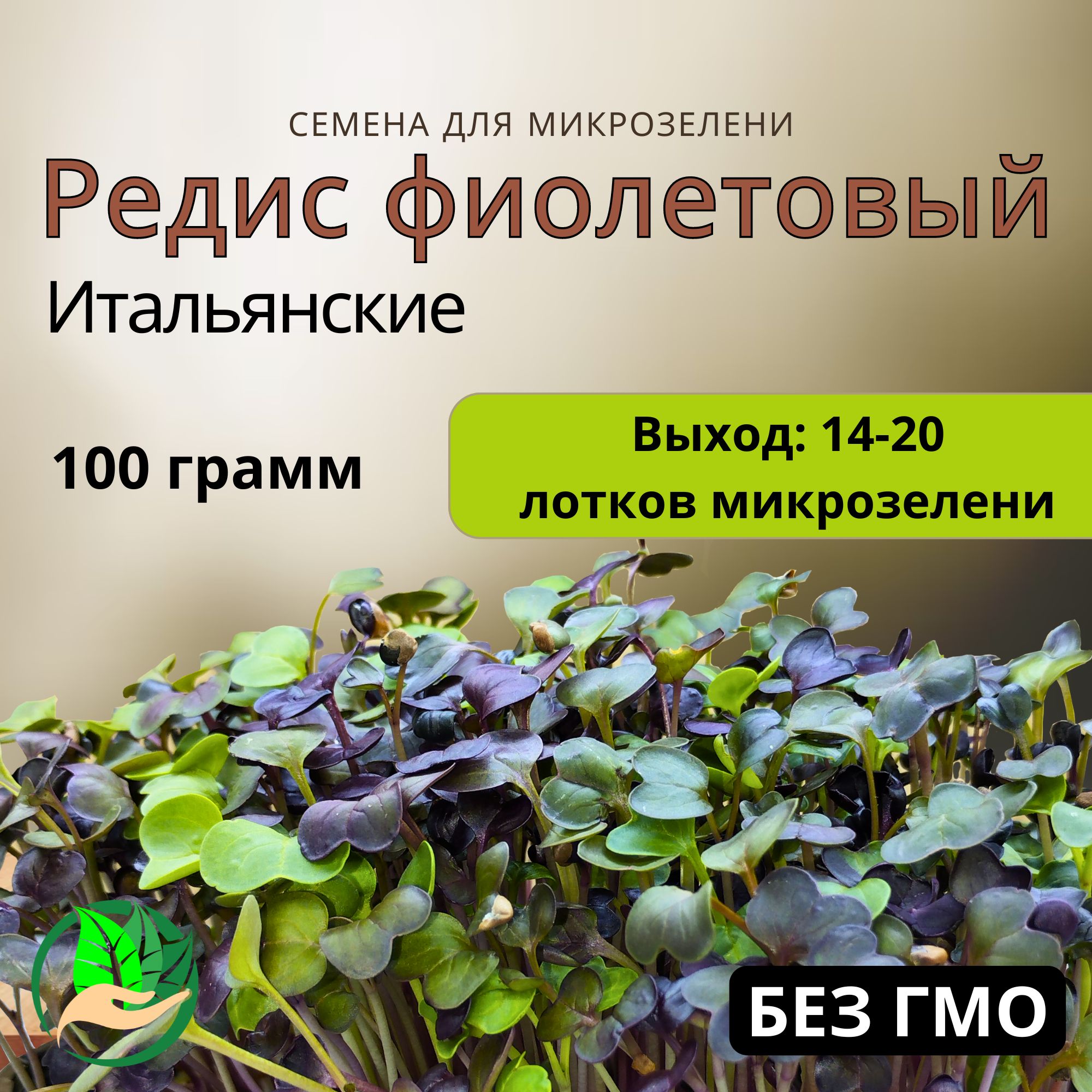 Микрозелень семена для проращивания редиса фиолетового, 100 грамм