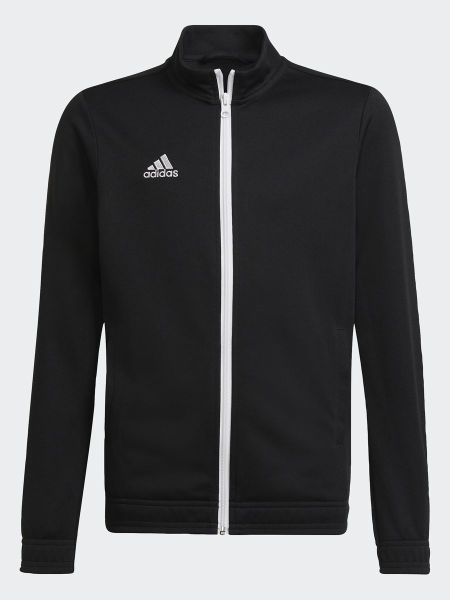 Олимпийка adidas Ent22 Tk Jkt Y купить на OZON по низкой цене (1586476488)