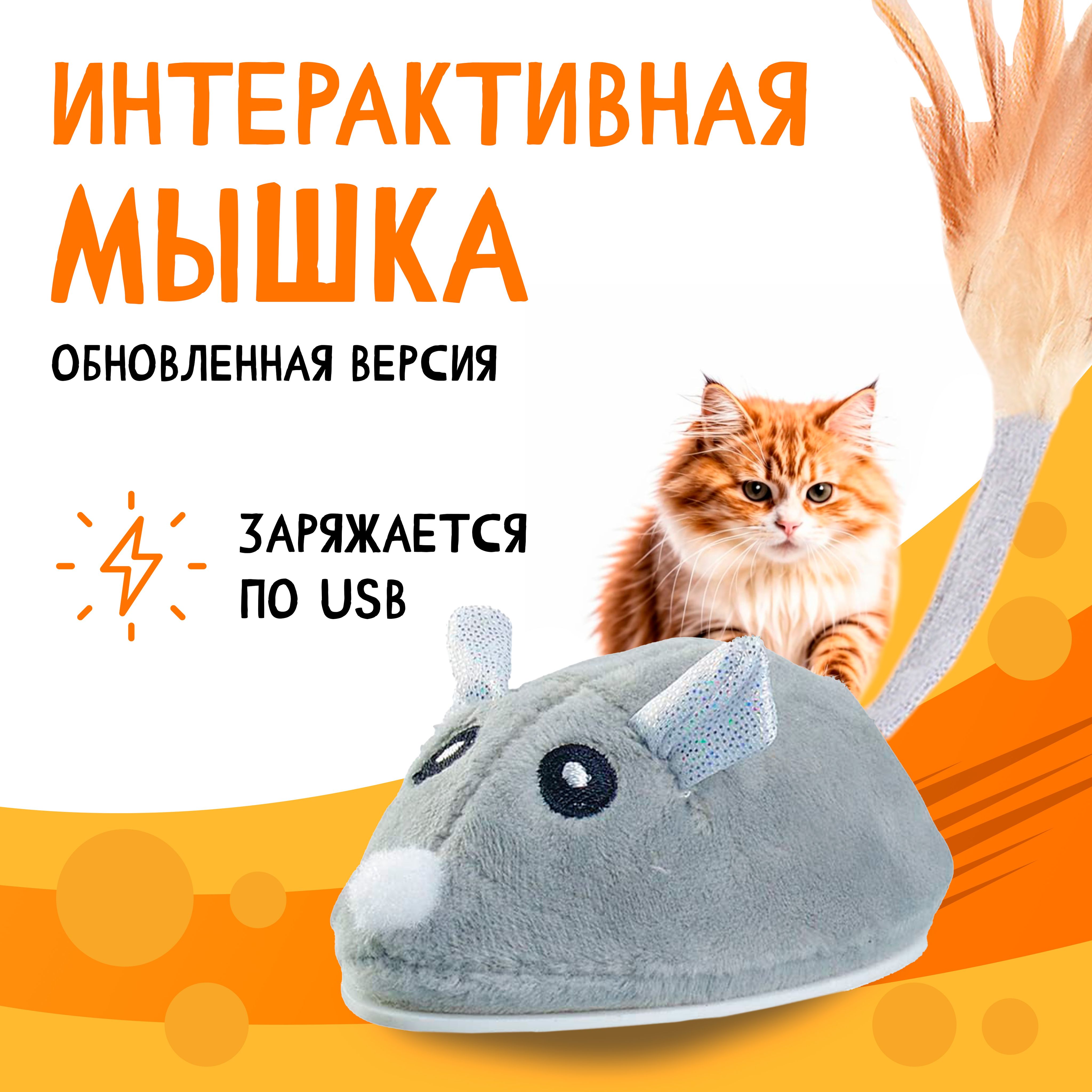 Игрушка для кошек котов мышка заводная интерактивная с USB зарядкой -  купить с доставкой по выгодным ценам в интернет-магазине OZON (885780966)