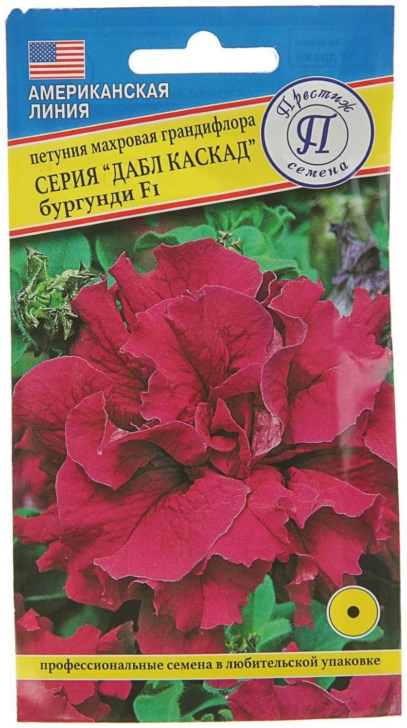 Петуния махровая дабл каскад бургунди семена. Петуния махровая каскад бургунди. Петуния дабл каскад бургунди. Петуния каскадная бургунди. Петуния дабл каскад бургунди фото и описание.