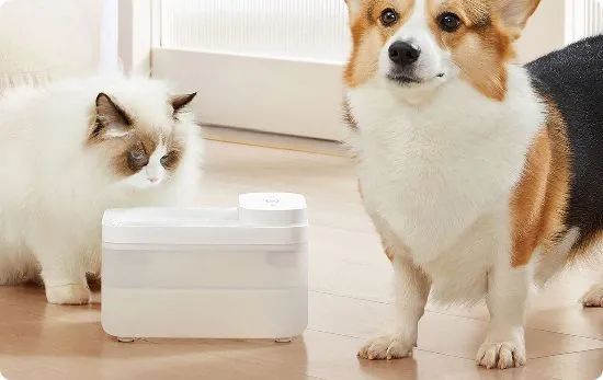 Xiaomi умная АВТОНОМНАЯ автопоилка для животных Mijia Smart Pet Water Dispenser 3L (XWWF02MG), белый