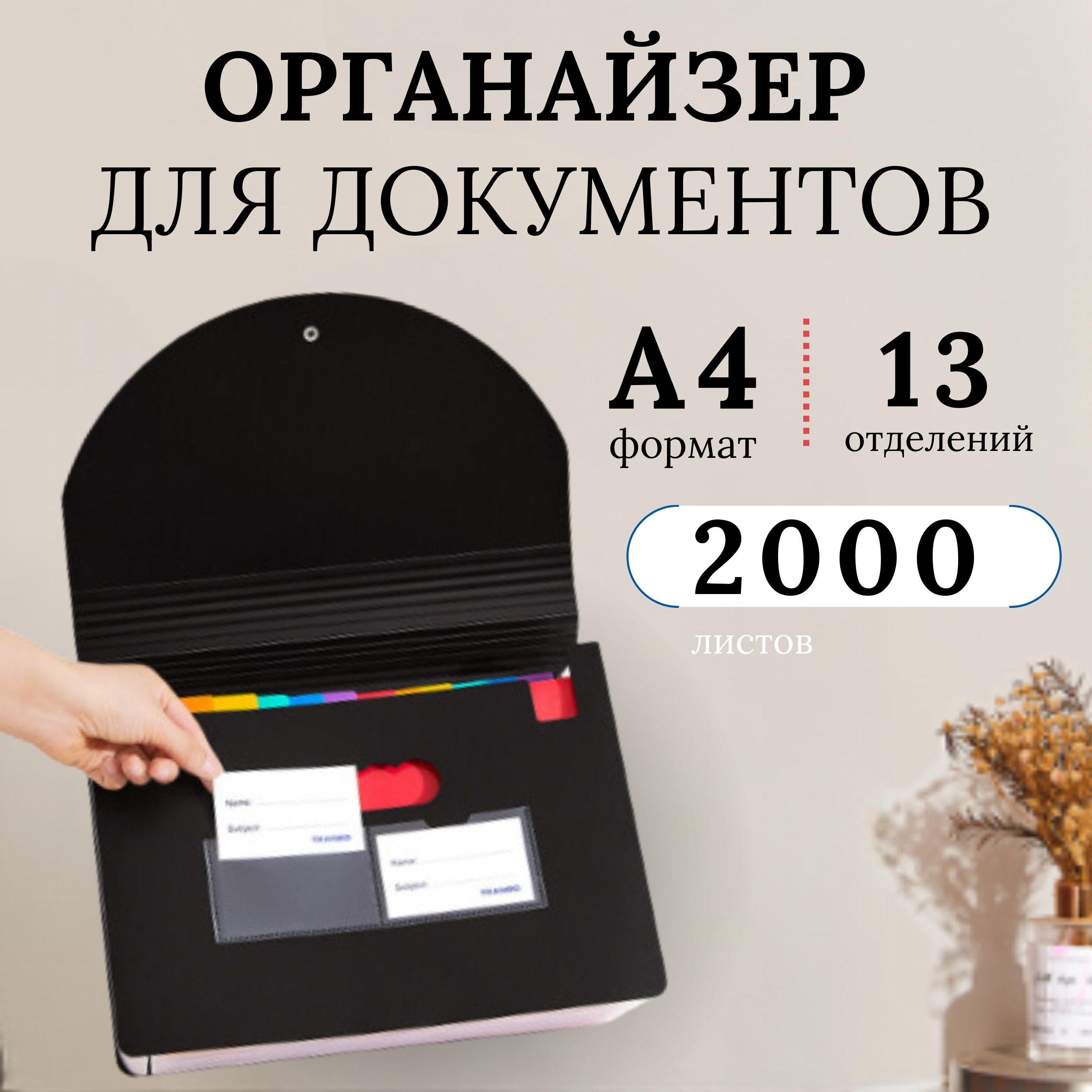  Папка-органайзер A4 (21 × 29.7 см), 1 шт. купить на OZON по низкой цене (1049791251)