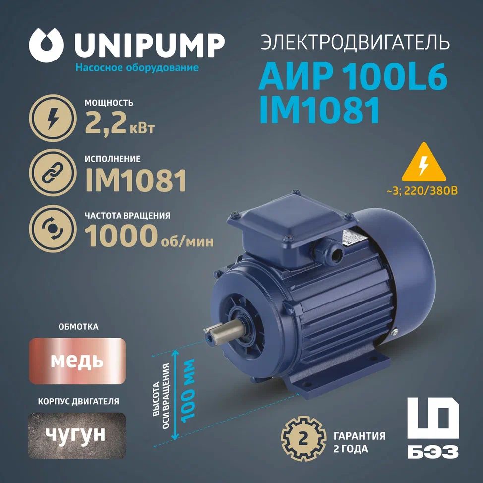 Электродвигатель АИР 100L6 IM1081 (2,2 кВт/1000 об/мин), корпус чугун