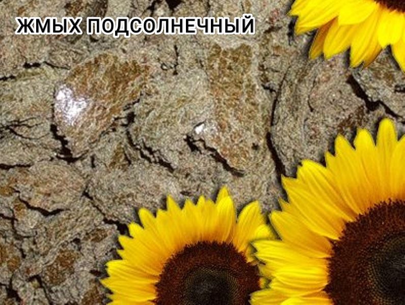 Жмых подсолнечный