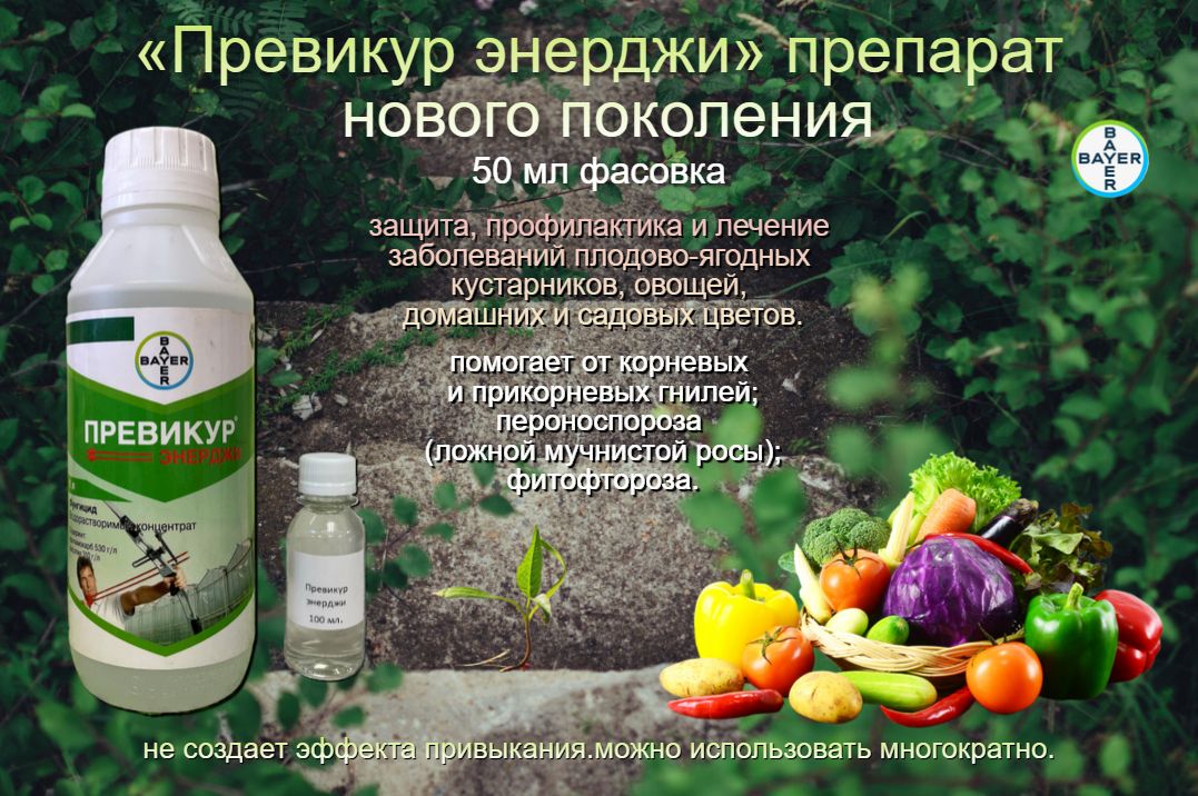 Превикур Энерджи Цена