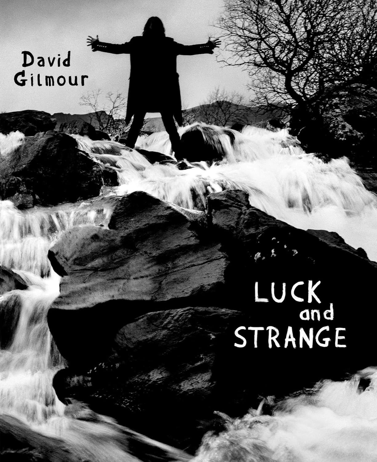 Компакт-диск David Gilmour. Luck And Strange (Blu-Ray Audio)