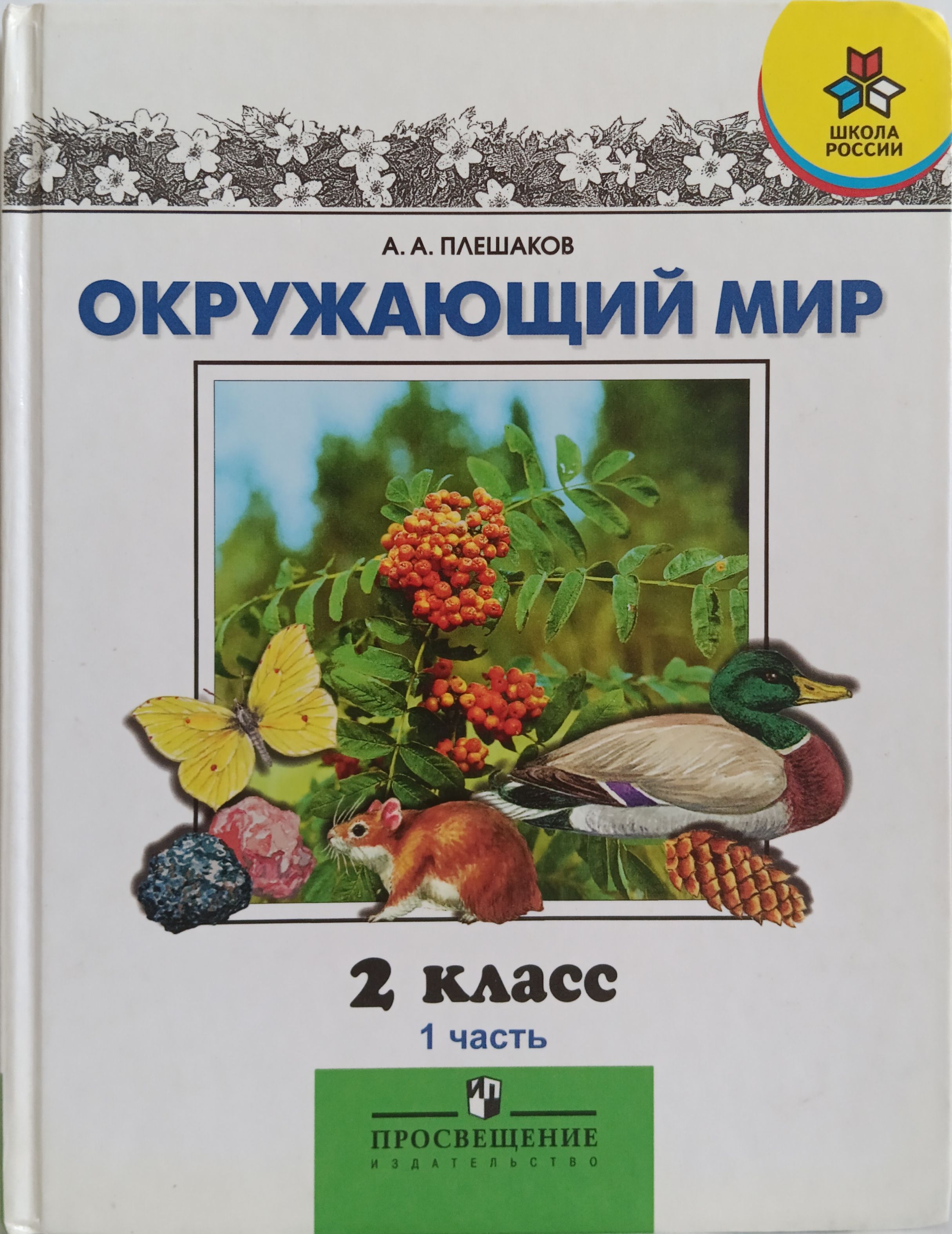 Проект по окружающему миру. Окружающий мир 4 класс. Окружающий мир 1 класс с 3. Окружающий мир 3 класс 146-147. Учебник по окружающему миру 3 класс.