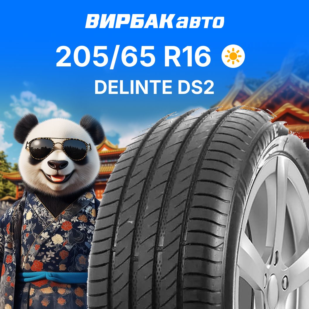 DelinteDS2Шинылетние205/65R1695V