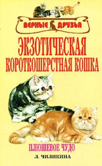 Экзотическая короткошерстная кошка | Л. А. Чиликина | Электронная книга